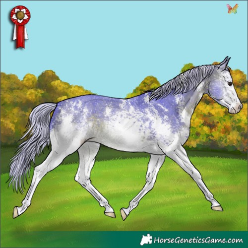 Horse Color:Watercolor White Spotted Silver Brown Sabino 