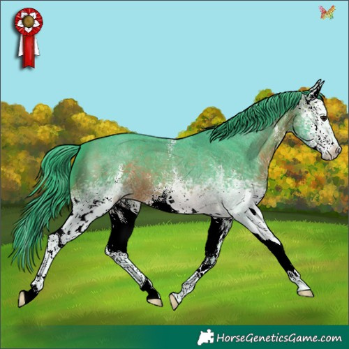 Horse Color:Watercolor White Spotted Brown Sabino 