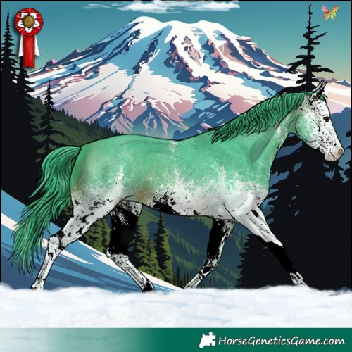 Horse Color:Watercolor White Spotted Brown Sabino 