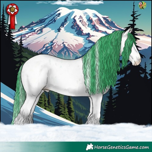 Horse Color:Watercolor White Spotted Bay Ice Roan Appaloosa 