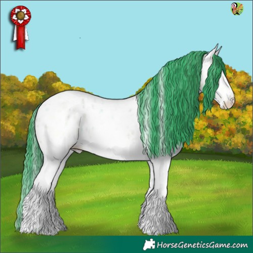 Horse Color:Watercolor White Spotted Bay Ice Roan Appaloosa 