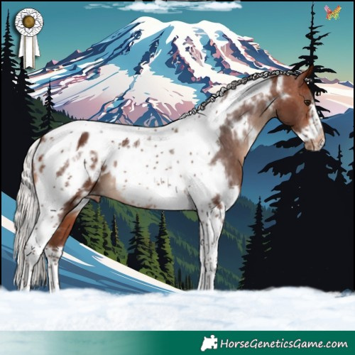 Horse Color:White Spotted Silver Brown Tobiano Frame Appaloosa 