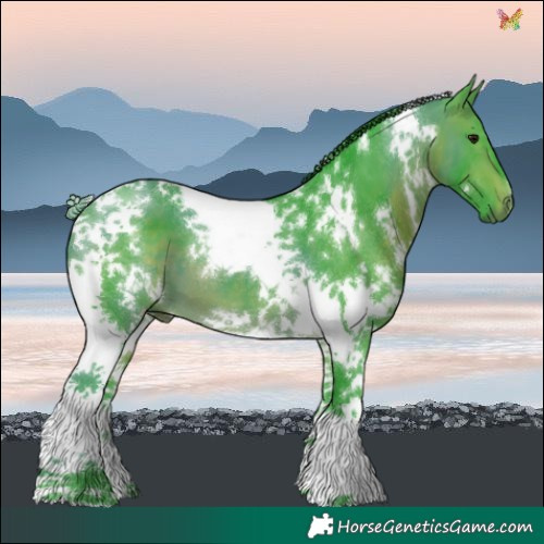 Horse Color:Watercolor White Spotted Brown Tobiano 
