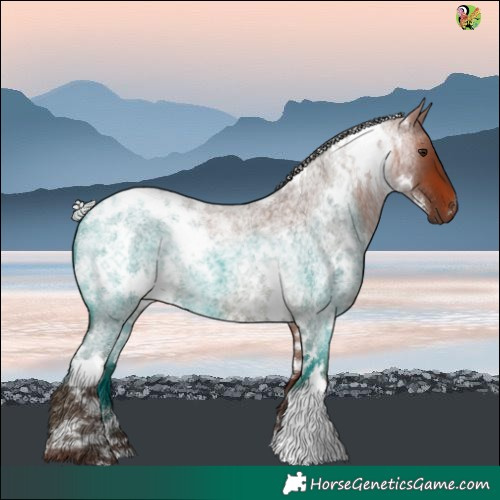 Horse Color:White Spotted Silver Bay Roan 