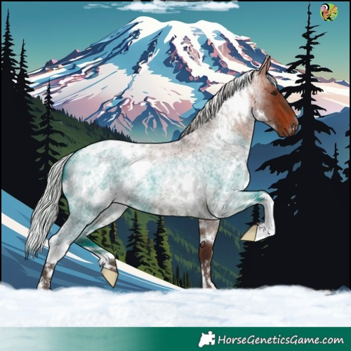 Horse Color:White Spotted Silver Bay Roan 