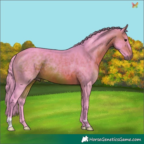 Horse Color:Watercolor Brown 