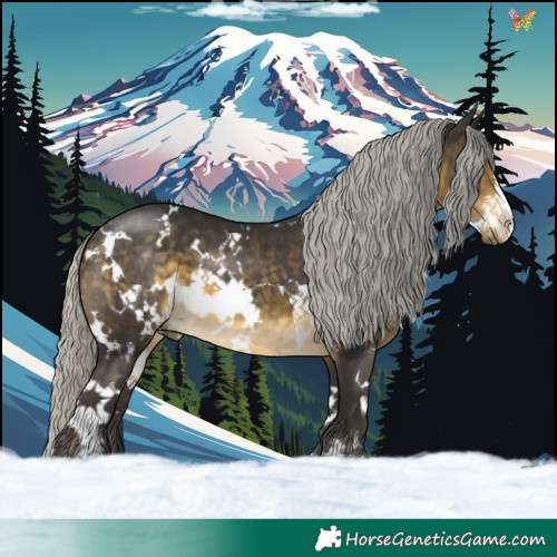 Horse Color:White Spotted Silver Buckskin 