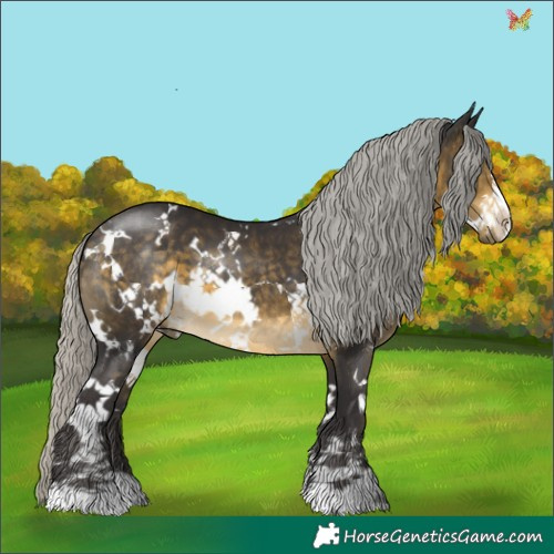 Horse Color:White Spotted Silver Buckskin 