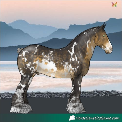 Horse Color:White Spotted Silver Buckskin 