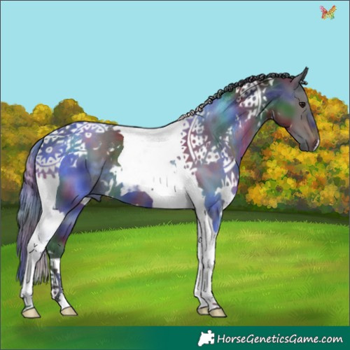Horse Color:Nacre White Spotted Brown Tobiano 