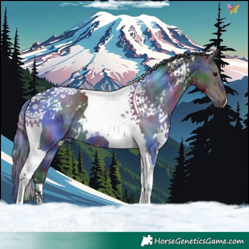 Horse Color:Nacre White Spotted Brown Tobiano 