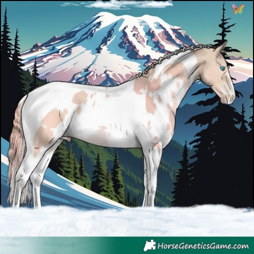 Horse Color:White Spotted Smoky Creme Tobiano 