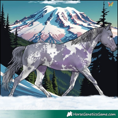 Horse Color:Watercolor White Spotted Smoky Black 