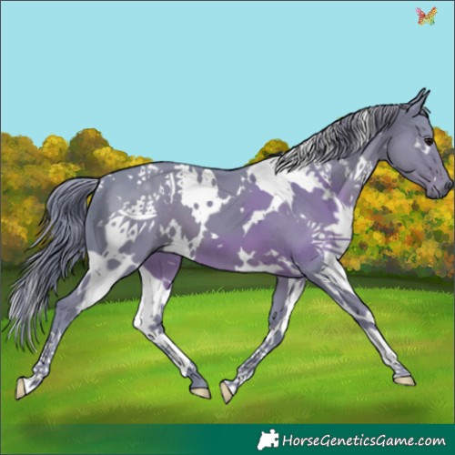 Horse Color:Watercolor White Spotted Smoky Black 