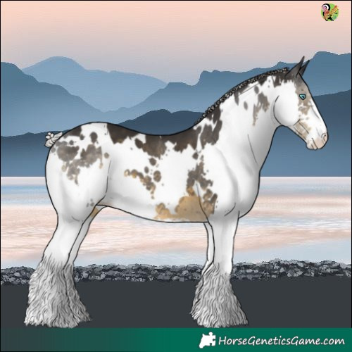 Horse Color:White Spotted Silver Smoky Black Splash 