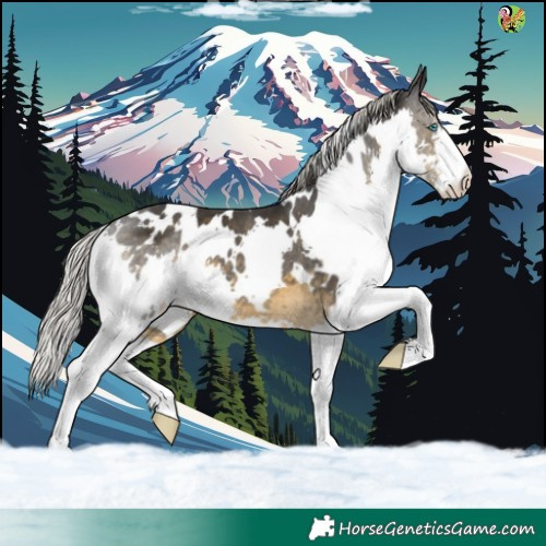 Horse Color:White Spotted Silver Smoky Black Splash 