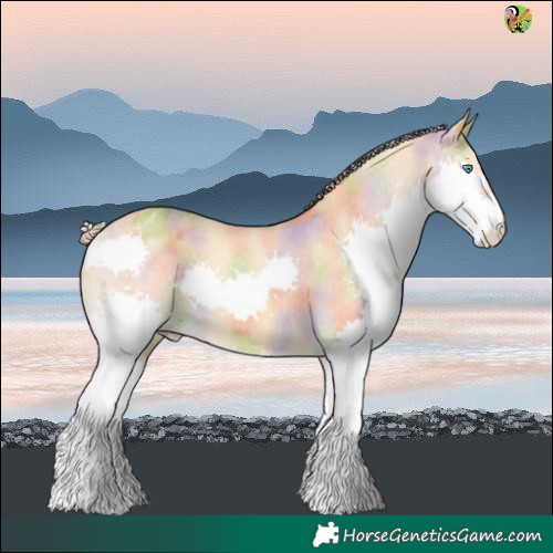 Horse Color:Nacre Palomino Splash Varnish 