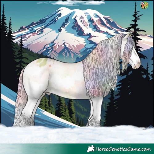 Horse Color:Nacre Palomino Splash Appaloosa 