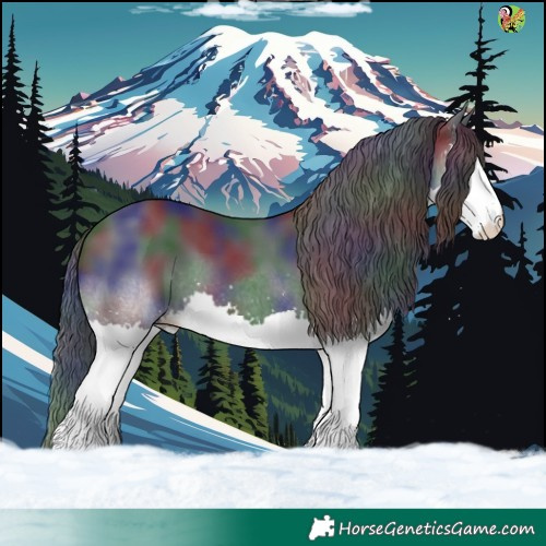 Horse Color:Nacre Black Splash 