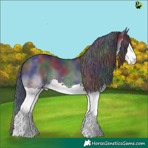 Horse Color:Nacre Black Splash 