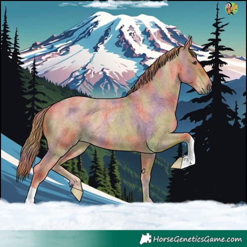 Horse Color:Nacre Red Roan 