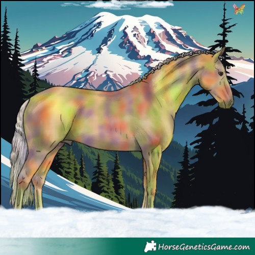 Horse Color:Nacre Palomino 
