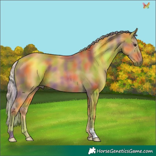 Horse Color:Nacre Palomino 