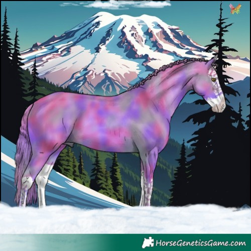 Horse Color:Nacre Watercolor Chestnut Splash 