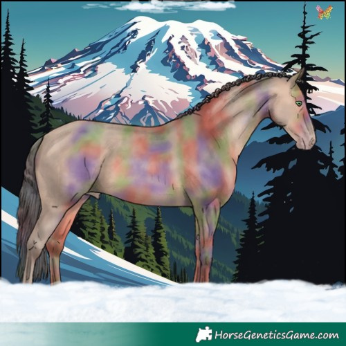 Horse Color:Nacre Amber Champagne 