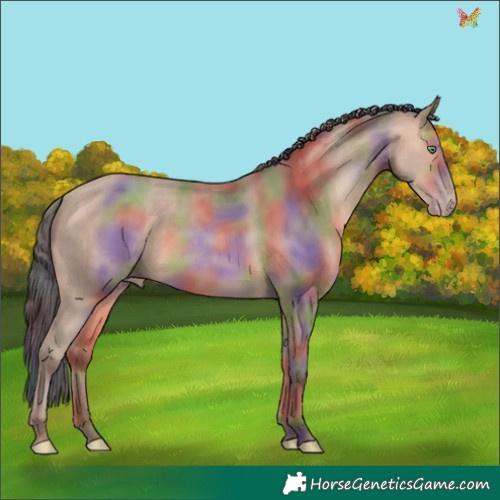 Horse Color:Nacre Amber Champagne 
