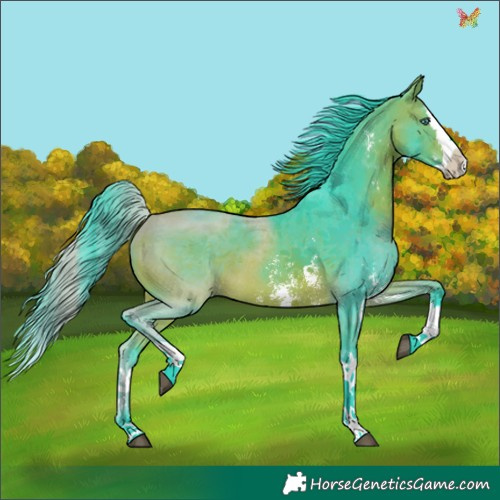 Horse Color:Watercolor Bay Sabino Splash 