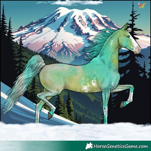 Horse Color:Watercolor Bay Sabino Splash 