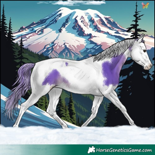 Horse Color:Watercolor Brown Splash Tobiano 