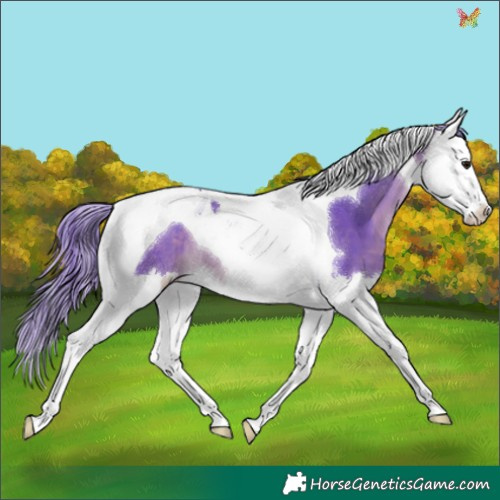 Horse Color:Watercolor Brown Splash Tobiano 