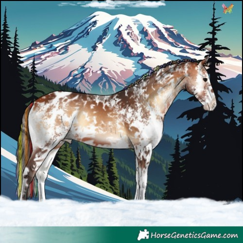 Horse Color:Painted Bay Onyx Sabino Varnish 