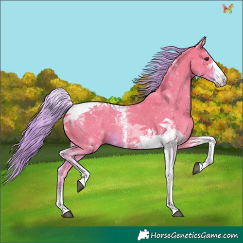 Horse Color:Watercolor Liver Chestnut Sabino Tobiano 