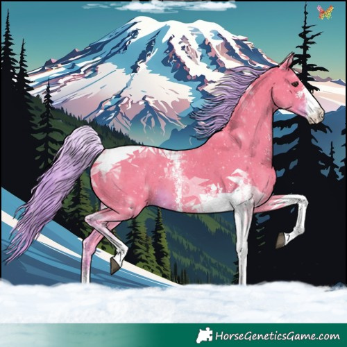 Horse Color:Watercolor Liver Chestnut Sabino Tobiano 