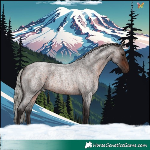 Horse Color:Silver Brown Roan Rabicano 