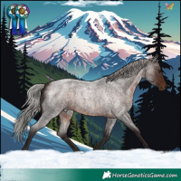 Horse Color:Silver Brown Roan Rabicano 
