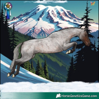 Horse Color:Silver Brown Roan Rabicano