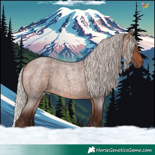 Horse Color:Silver Bay Roan Rabicano 