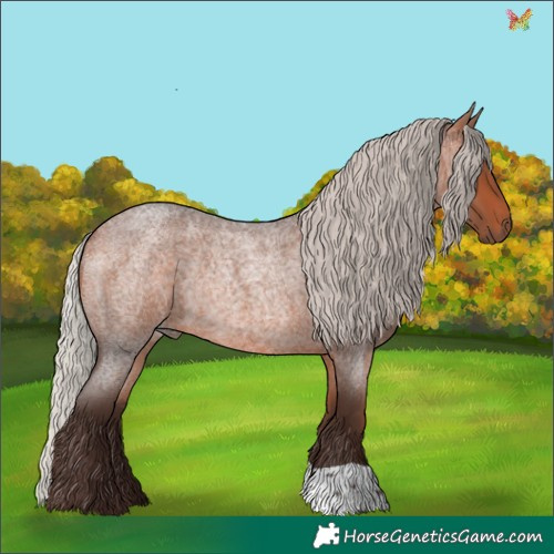 Horse Color:Silver Bay Roan Rabicano