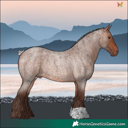 Horse Color:Silver Bay Roan Rabicano 