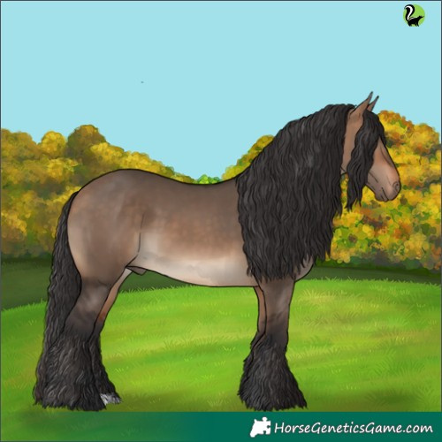 Horse Color:Brown Dun 