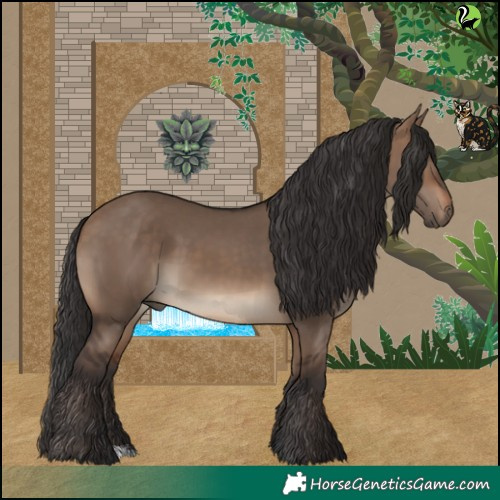 Horse Color:Brown Dun 