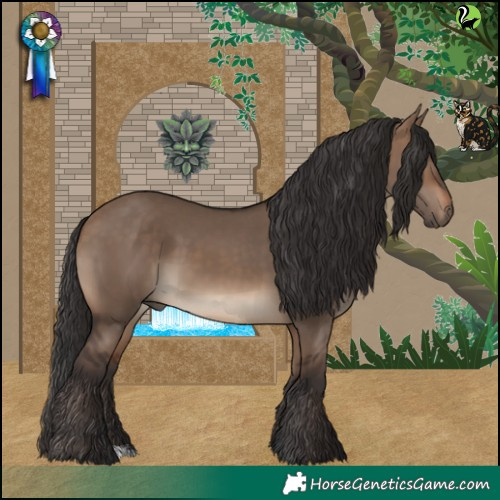 Horse Color:Brown Dun 