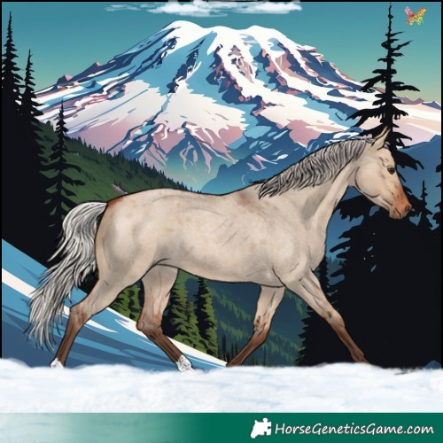 Horse Color:Silver Bay Roan Dun 