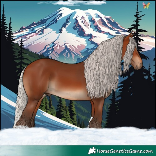 Horse Color:Silver Brown Tobiano 