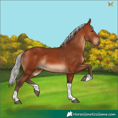 Horse Color:Silver Brown Tobiano 