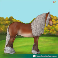 Horse Color:Silver Brown Tobiano